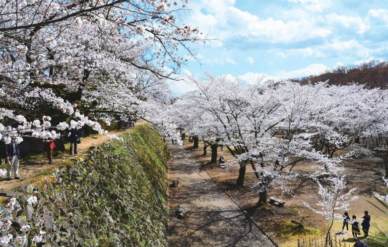 Komoro Castle Ruins - Kaikoen Park, Japan